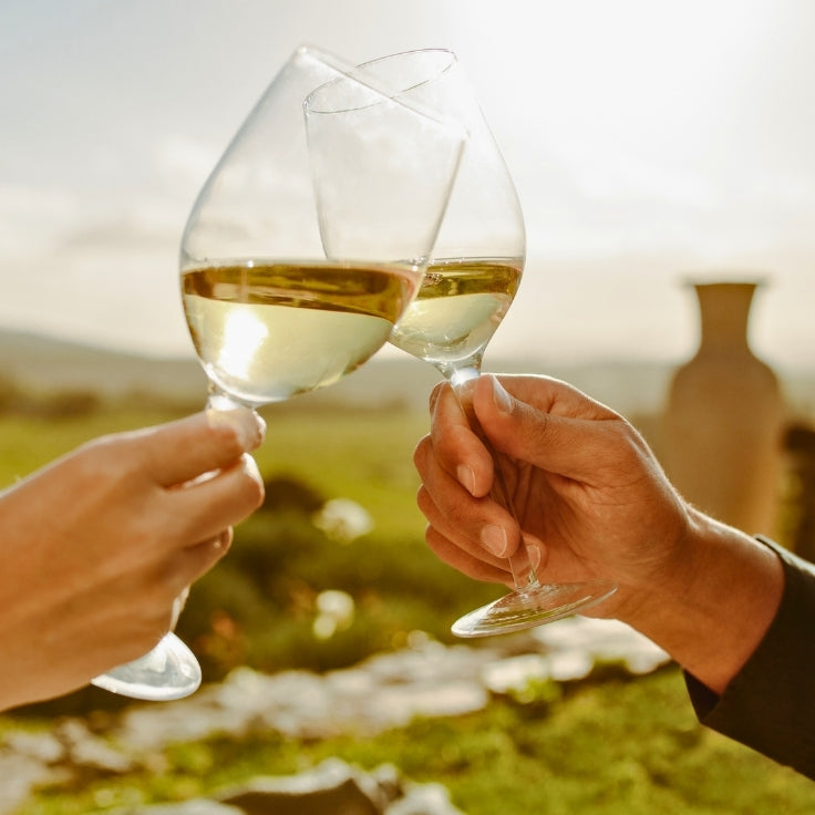 Trovati, Pinot Grigio Vigneti delle Dolomiti IGT