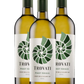 3 garrafas Trovati, Pinot Grigio Vigneti delle Dolomiti IGT